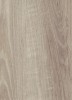 (LVT)  Vertigo Trend Wood 3101 CASHMERE OAK -  