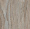    Forbo Allura Wood w60183 blue pastel oak -  