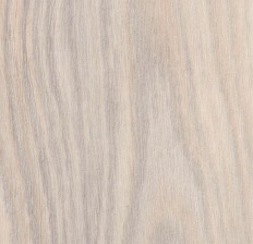  Forbo Effekta Professional 4021 P Creme Rustic Oak PRO -  
