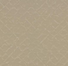    Forbo Allura bstract a63431 champagne satin -  