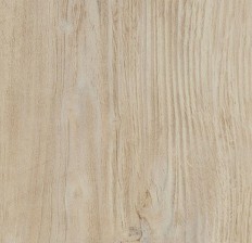    Forbo Allura w60084 bleached rustic pine -  