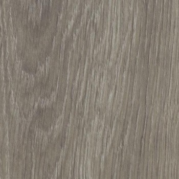    Forbo Allura Wood w60280 grey giant oak -  