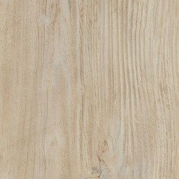    Forbo Allura w60084 bleached rustic pine -  